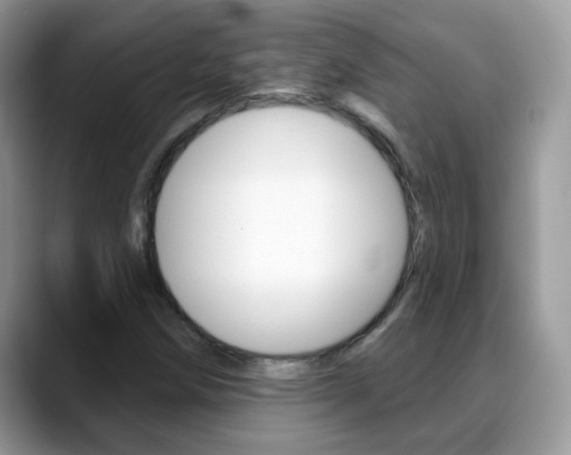 X0000088901258200706080819