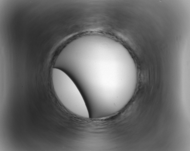X0000088901262200706080819