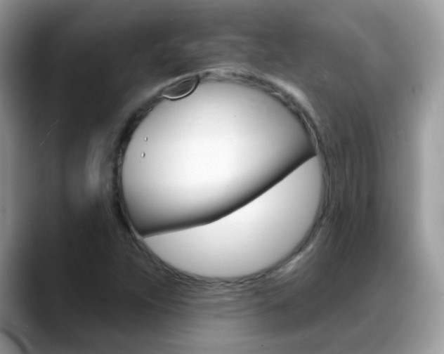 X0000088901263200706080819