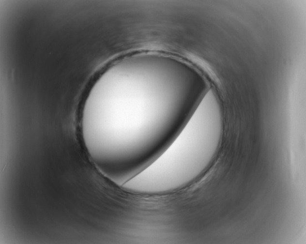X0000088901264200706080819