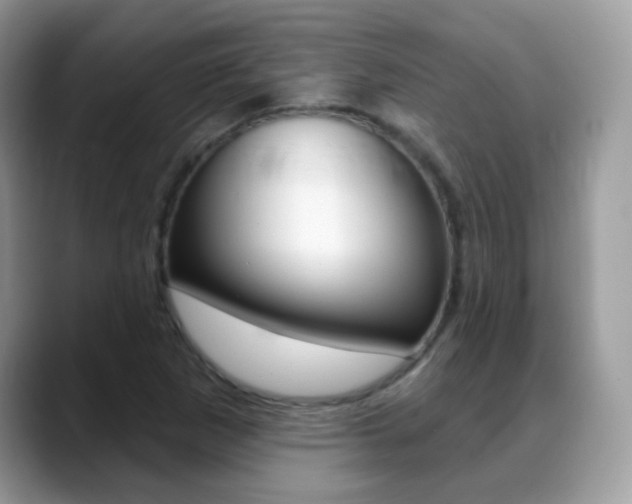 X0000088901265200706080819