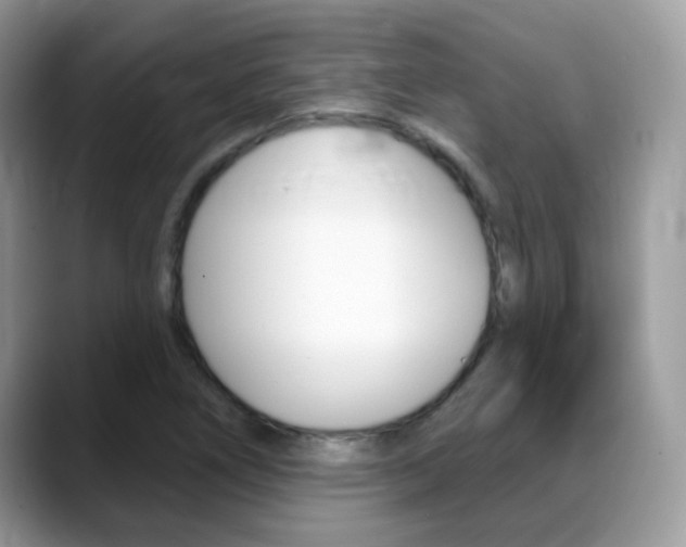 X0000088901266200706080819
