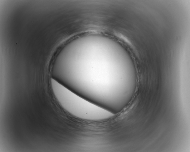 X0000088901267200706080819