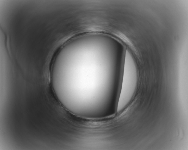 X0000088901269200706080819