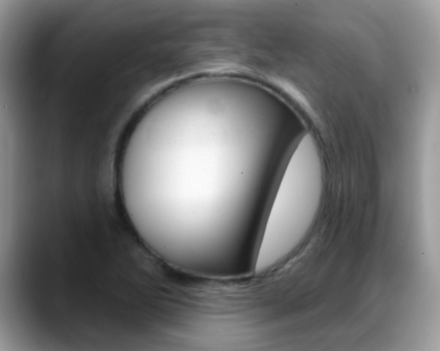 X0000088901270200706080819
