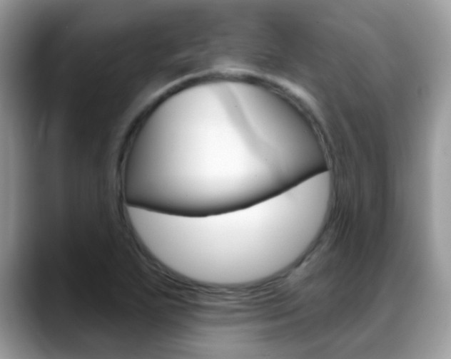 X0000088901271200706080819