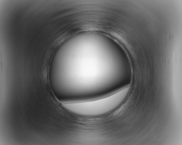 X0000088901273200706080819