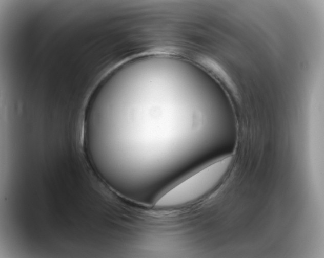 X0000088901276200706080819