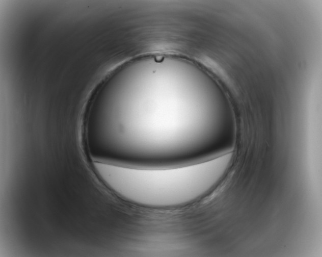 X0000088901277200706080819