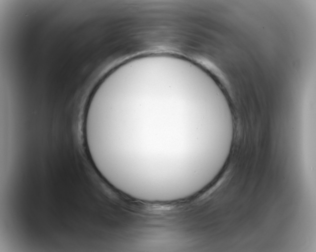 X0000088901278200706080819