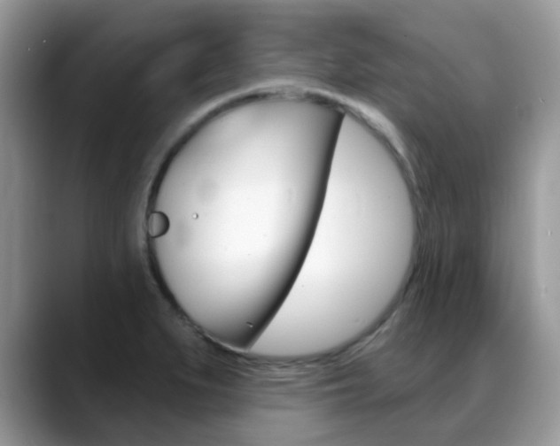 X0000088901279200706080819
