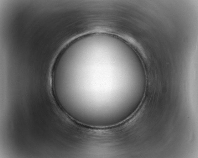 X0000088901280200706080819