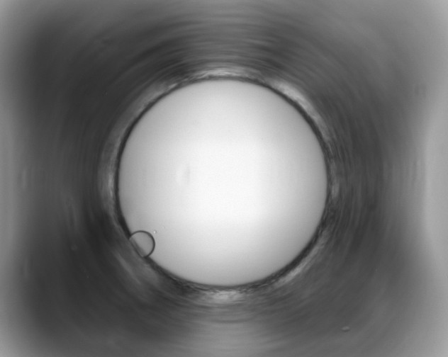 X0000088901282200706080819