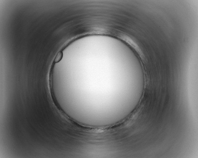 X0000088901283200706080819