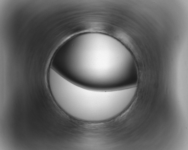 X0000088901284200706080819