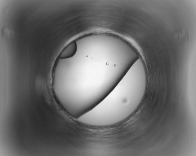 X0000088901287200706080819
