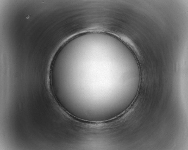 X0000088901288200706080819
