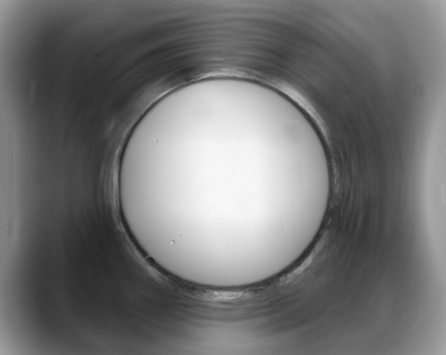 X0000088901290200706080819