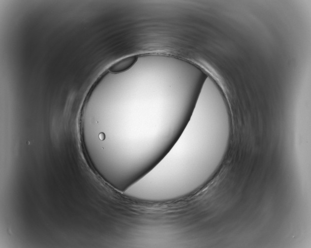X0000088901291200706080819