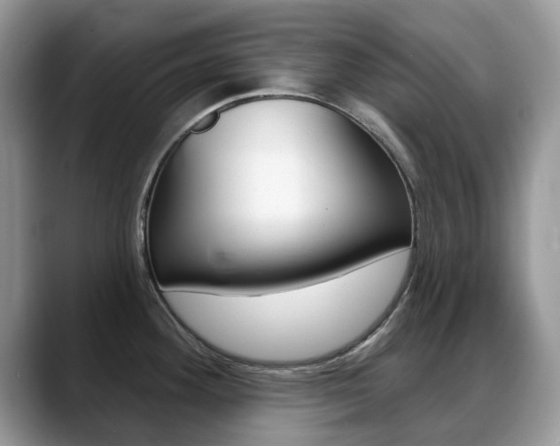 X0000088901292200706080819