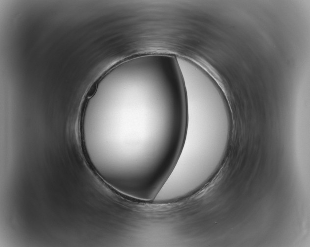 X0000088901293200706080819