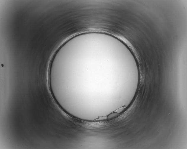 X0000088901294200706080819