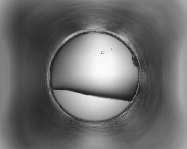 X0000088901295200706080819