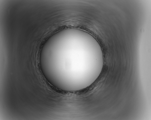 X0000088901297200706080818