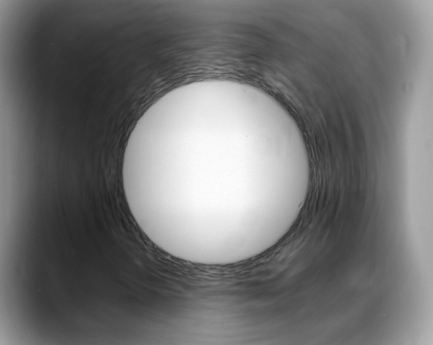 X0000088901298200706080818