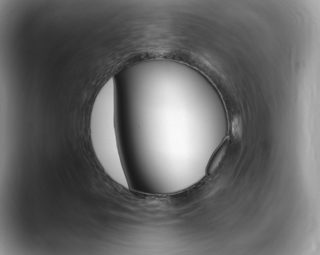 X0000088901299200706080818