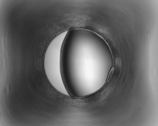 X0000088901300200706080818