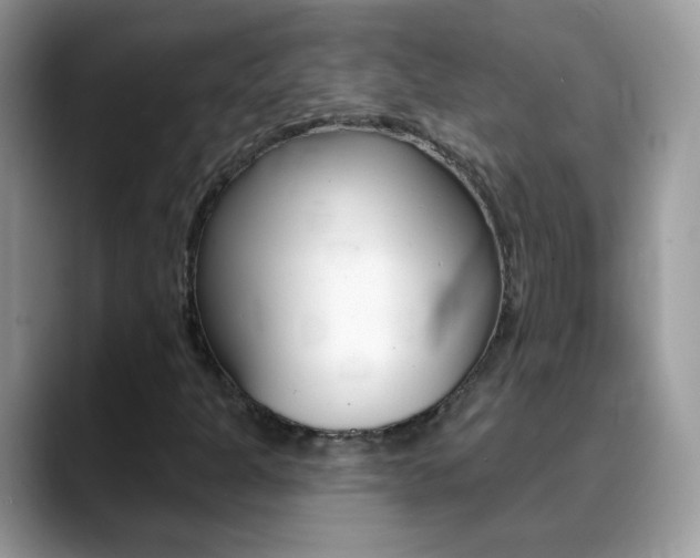 X0000088901301200706080818