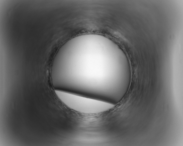 X0000088901302200706080818