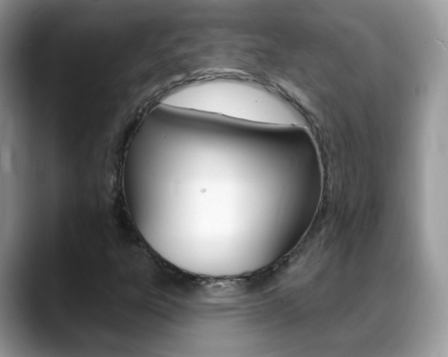 X0000088901303200706080818