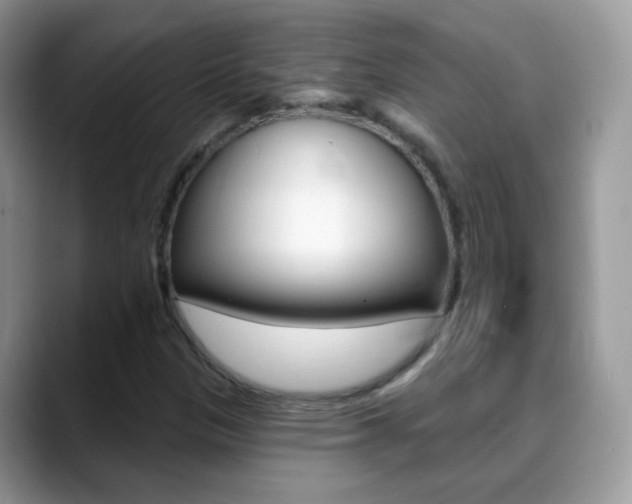 X0000088901305200706080818