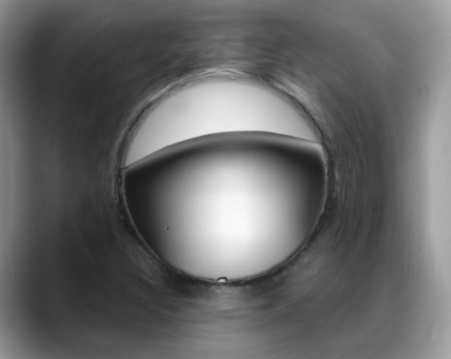 X0000088901308200706080818