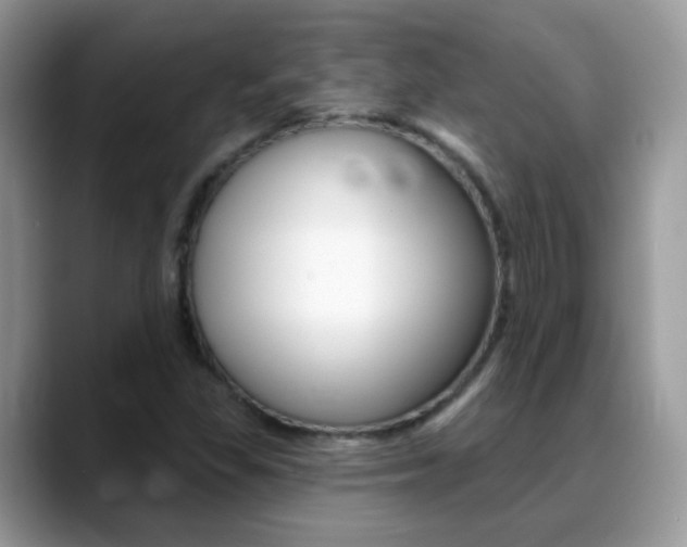 X0000088901309200706080818