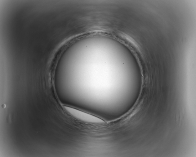 X0000088901310200706080818