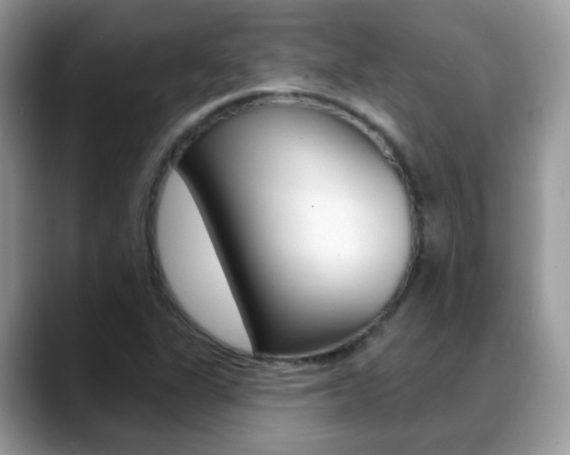 X0000088901311200706080818