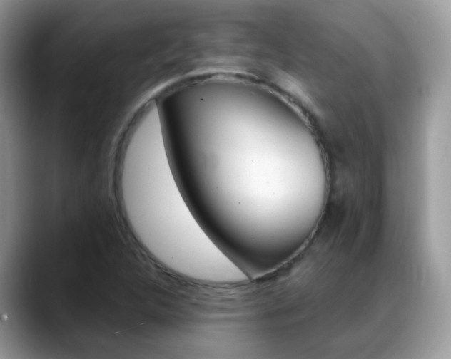 X0000088901312200706080818