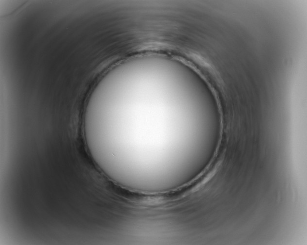 X0000088901313200706080818