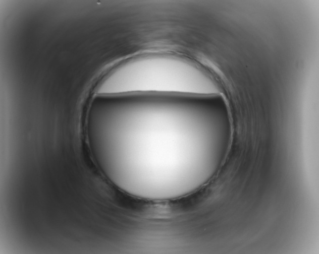 X0000088901315200706080818