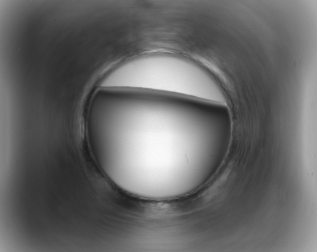 X0000088901317200706080819