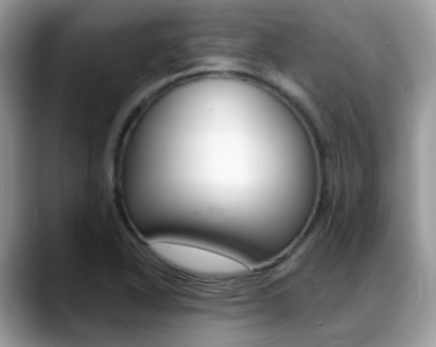 X0000088901318200706080819