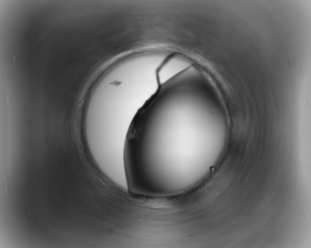 X0000088901319200706080819