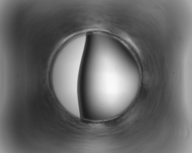 X0000088901320200706080819