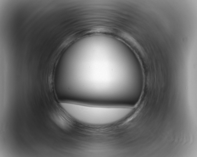 X0000088901321200706080819