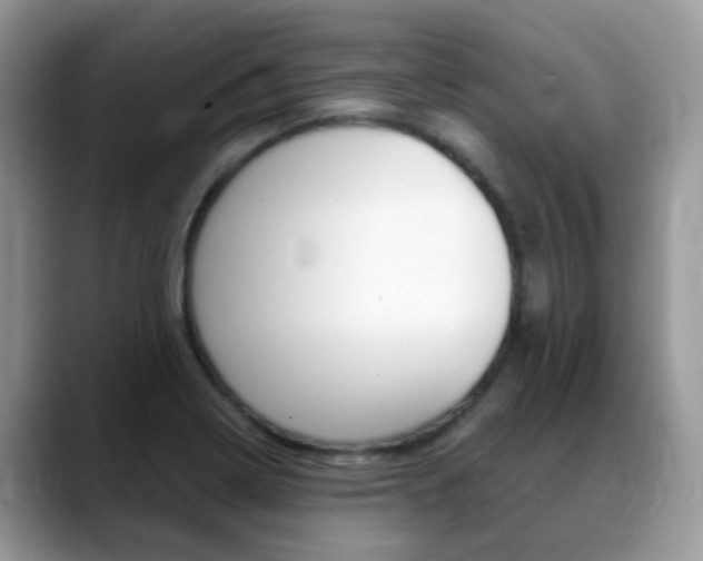 X0000088901322200706080819