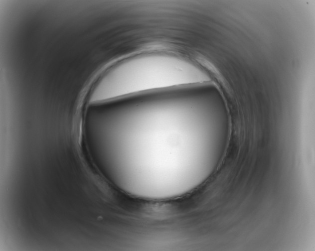 X0000088901323200706080819