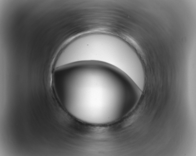 X0000088901324200706080819